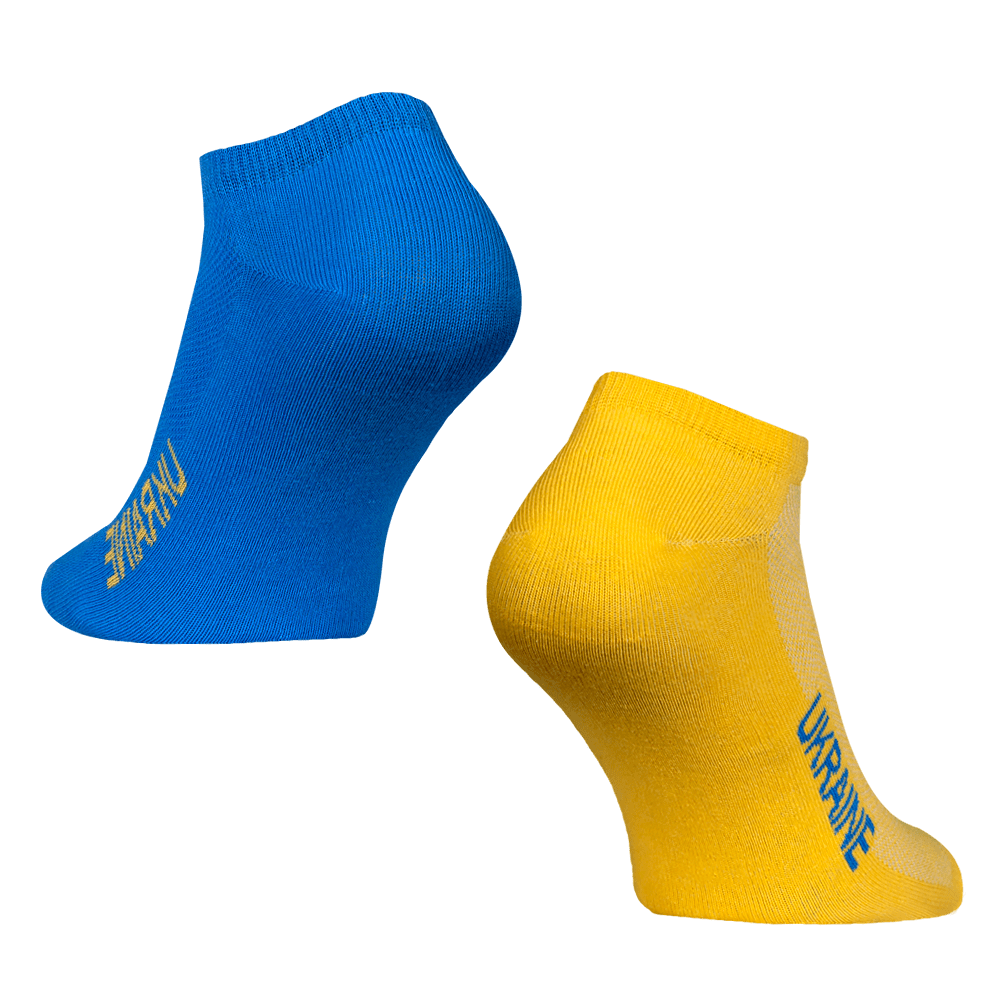 Шкарпетки Ukraine Жовто-блакитні (7152)(2)